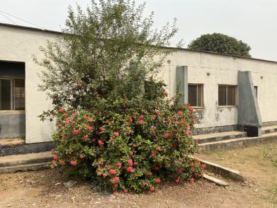 Distress --- Pay & Move in 2 Bedroom Bungalow with C of O, Off Nureni Yusuf Kola, Alagbado, Ifako-ijaiye, Lagos, Detached Bungalow for Sale