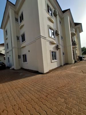 Standard and Serviced 3 Bedroom Apartment with Bq, Durumi, Abuja, Flat / Apartment for Rent