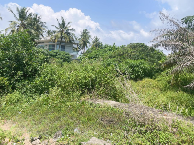 100 Plots of Land in Lekki Free Trade Zone, Lekki Free Trade Zone, Lekki, Lagos, Mixed-use Land for Sale