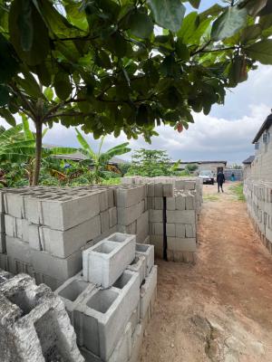 Full Fenced Plot of Land with 3shops in a Safe Developing Environment, Jah Micheal, Magbon, Badagry, Lagos, Land for Sale