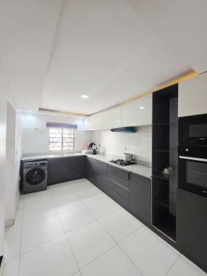 Partly Furnished 2 Bedrooms Penthouse with Bq, Lekki Right, Lekki Phase 1, Lekki, Lagos, House for Sale