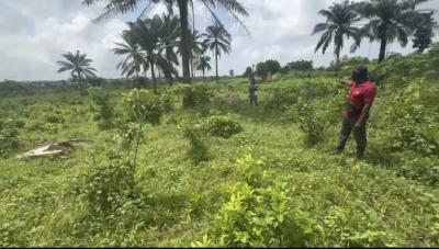 Plot of Land, Eleso, Ibadan Abeokuta Road, Omi Adio, Apata, Ibadan, Oyo, Mixed-use Land for Sale