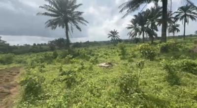 Plot of Land, Eleso, Ibadan Abeokuta Road, Omi Adio, Apata, Ibadan, Oyo, Mixed-use Land for Sale