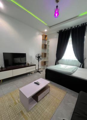 Well Furnished Studio Apartment, Jibowu, Yaba, Lagos, Self Contain (single Rooms) for Rent