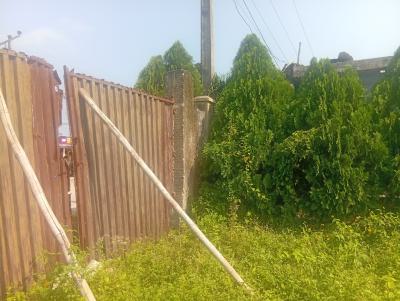 4 Plots of Land Off The Express Way, Jehovah Witness Road Elemoro, Bogije, Ibeju Lekki, Lagos, Mixed-use Land for Sale