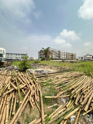 a 603 Sqm of Land with a Foundation in Strategic Location in Orchid, Orchid, Lekki, Lagos, Mixed-use Land for Sale