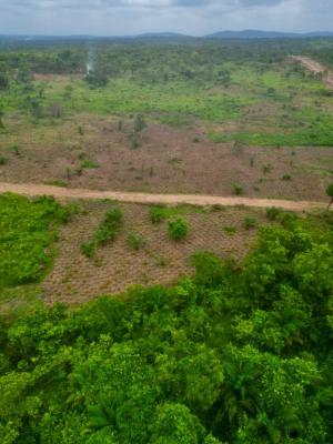 Buy a Fully Manage Farm Land and Earn Annually Without Doing The Work, Few Minutes From Funnab, Abeokuta South, Ogun, Mixed-use Land for Sale