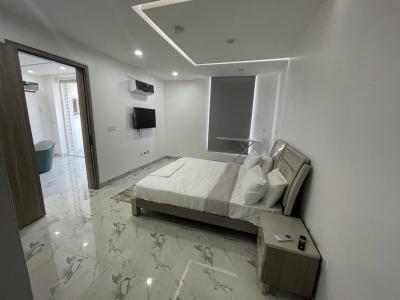 1 Bedroom Apartment, Victoria Island (vi), Lagos, Flat / Apartment Short Let