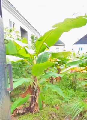 Perfect Titles, Well Secured Estate, Goodnews Estate, Sangotedo, Ajah, Lagos, Land for Sale