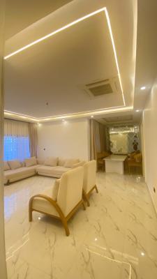 Luxurious and Exquisitely Finished 3 Bedroom Apartment, Maitama District, Abuja, Flat / Apartment for Rent