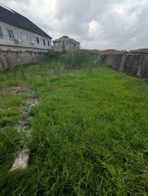 Half Plot of Land with Governors Consent, Ajah, Lagos, Land for Sale
