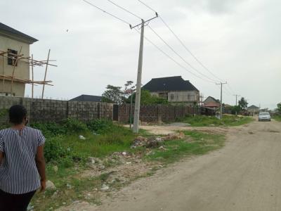 Land Measuring 2500sqm in a Prime Location, Ablag Avenue, Off Monastery Road, Sangotedo, Ajah, Lagos, Land for Sale