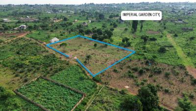Land in a Nice Location, Issele Azagba, Asaba, Delta, Mixed-use Land for Sale