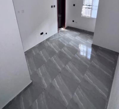 a Mini Flat, By Platinum, Ikate, Lekki, Lagos, Mini Flat (room and Parlour) for Rent