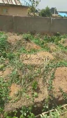 Half Plot of Land with Structure & Foundation — Ereko Estate, Okemuti, Igbo Olomu Phase 2, Ebute, Ikorodu, Lagos