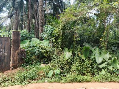 1600 Sq Mts Communal Land, Isu Umunnakwa Village, Oba, Idemili, Anambra, Residential Land for Sale