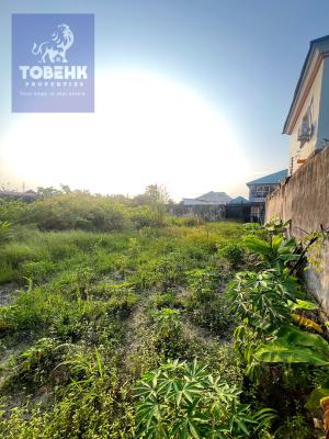 Prime Gated and Fenced 600sqm Land in a Serene Estate, Sangotedo, Ajah, Lagos, Land for Sale