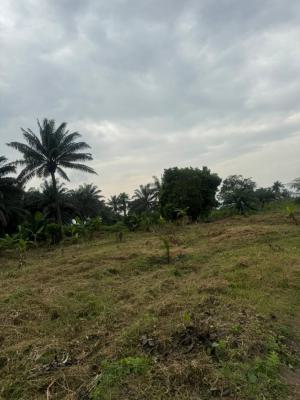 Palm Oil and Plantain Plantations, Along Agbowa Road, Odogbolu, Ogun, Commercial Property for Sale