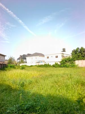 Smart 100% Dry Land By 1,207sqm with Fence, Along Ogombo Expressway Ajah Lagos., Ajah, Lagos, Mixed-use Land for Sale