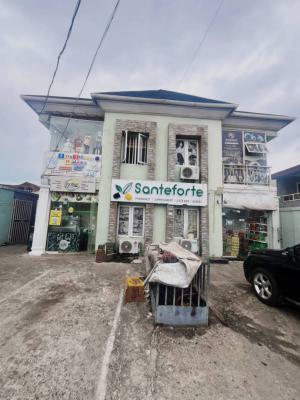 Commercial /  Residential Property  in a Prime Location, Gra Phase 1, Magodo, Lagos, Semi-detached Duplex for Sale
