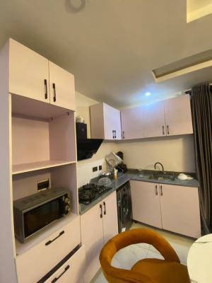2 Bedroom Ensuite Contemporary Apartment, Ikate, Lekki, Lagos, Flat / Apartment for Rent