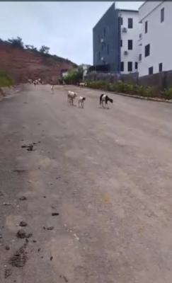 3.3 Hectares of Flat Prime Land., Guzape Main, Guzape District, Abuja, Mixed-use Land for Sale