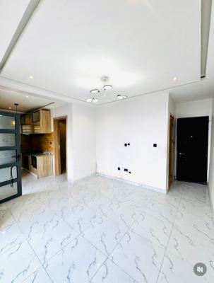 Luxury 1 Bedroom Apartment, Lekki, Lagos, Mini Flat (room and Parlour) for Rent