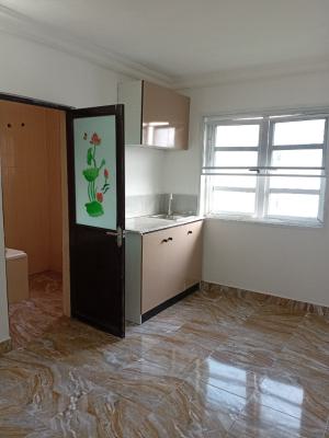 Refreshing Taste of Freshness in a Studio Apartment, Mobil Road, Ajah, Lekki, Lagos, House for Rent