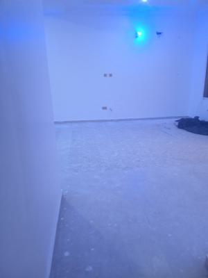 a Luxurious Miniflat with Studio Kitchen and Separate Prepaid Meter, Conservation Isaacs Jacob Estate, Lekki, Lagos, Mini Flat (room and Parlour) for Rent