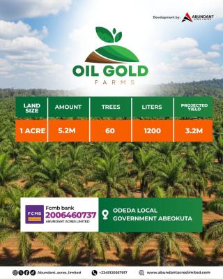Make Huge Annual Return By Owning an Affordable Oil Gold Farm Land, Most Affordable Farm Land in Odera Local Government, Abeokuta, Abeokuta North, Ogun, Industrial Land for Sale