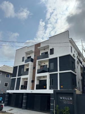 Earn Guaranteed 1 Million Monthly From This Serviced Apartment, Surulere, Lagos, Mini Flat (room and Parlour) for Sale