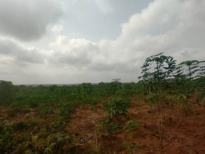 30 Acres Farmland with C of, Ido Eruwa Road, Ibadan, Oyo, Mixed-use Land for Sale