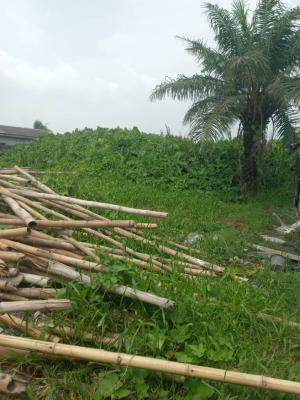 Fenced 2 Plots of Land Close to Expressway, Off Asanjo Street, Sangotedo, Ajah, Lagos, Residential Land for Sale