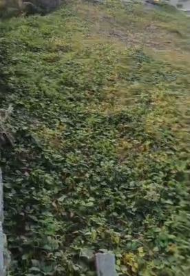 2000 Sqm of Commercial Land, Off Lokogoma Express Road, Lokogoma District, Abuja, Commercial Land for Sale