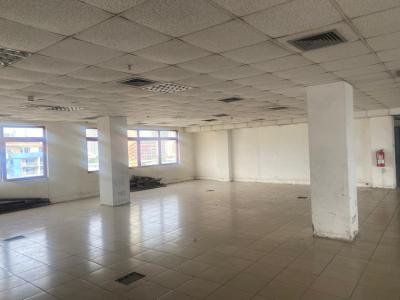 650 Sqm Serviced Office Space, Victoria Island (vi), Lagos, Office Space for Rent