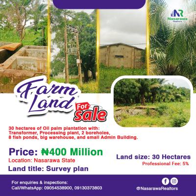 30 Hectares Palm Oil Plantation Is Available, Karu, Nasarawa, Karu, Nasarawa, Commercial Land for Sale