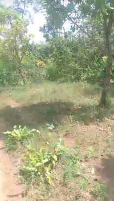 Secure 50 Acres Available, Isaga Orile, Abeokuta North, Ogun, Mixed-use Land for Sale