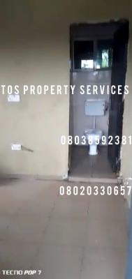 Standard Miniflat + 2 Toilets + Pop Ceiling, Yaba, Yaba, Lagos, Mini Flat (room and Parlour) for Rent