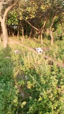 Prime 2500 Sqm Residential Plot, Maitama 2, Maitama District, Abuja, Residential Land for Sale