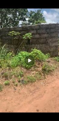 Fenced Standard One Plot of Land Strategically Located Is Available, Avu, Owerri West, Imo, Land for Sale