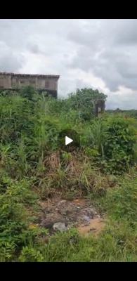 Standard 1½ Plots of Land in a Corner Piece Well Developed Environment, Owerri West, Imo, Land for Sale
