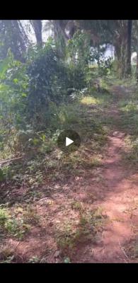 Fenced and Gated Five Shareable Plots of Land, Avu, Owerri West, Imo, Land for Sale