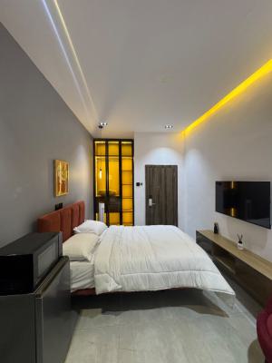 Beautiful Studio Apartment for Airbnb, Surulere, Lagos, Self Contain (single Rooms) Short Let