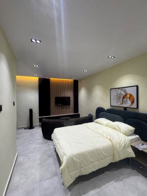 Stunning Studio Apartment for Short and Long Stay, Exquisite Studio Apartment for Shortlet, Adelabu Surulere, Surulere, Lagos, Self Contain (single Rooms) Short Let