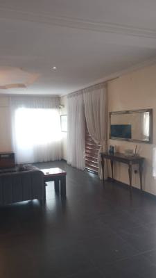 Furnished Penthouse ! 2-bedroom with Bq in Lekki Phase 1, Lekki Phase 1, Lekki, Lagos, House for Rent