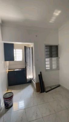 Newly Built and Spacious Mini Flat, Harmony, Gbagada, Lagos, Self Contain (single Rooms) for Rent