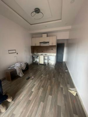 Standard and Spacious Mini Flat, Chemist Bus Stop, Akoka, Yaba, Lagos, Mini Flat (room and Parlour) for Rent