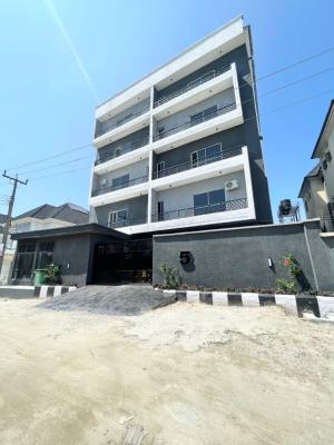 2 Bedroom Flat, Off Salem Bus Stop, Ikate Elegushi, Lekki, Lagos, Flat / Apartment for Rent