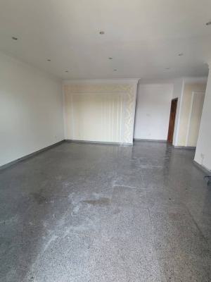 Serviced 2 Bedroom Penthouse, Lekki Phase One Lagos, Lekki Phase 1, Lekki, Lagos, Flat / Apartment for Rent