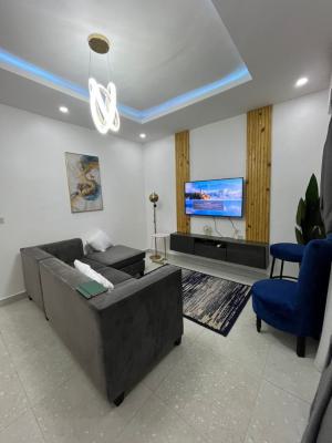 Fully Furnished and Service 1-bedroom Apartment, New Road, Alpha Beach, Chevron, Lekki, Lagos, Mini Flat (room and Parlour) for Rent